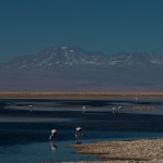 Laguna Chaxa: