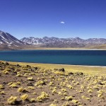 Laguna Miñiques y Miscanti: